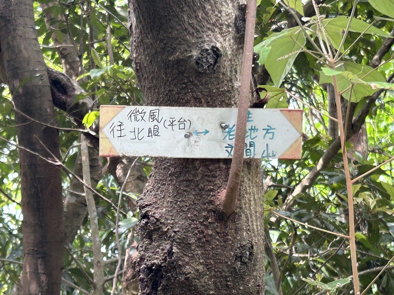 搭 捷 運 登 走 劍 潭 山 親 山 步 道