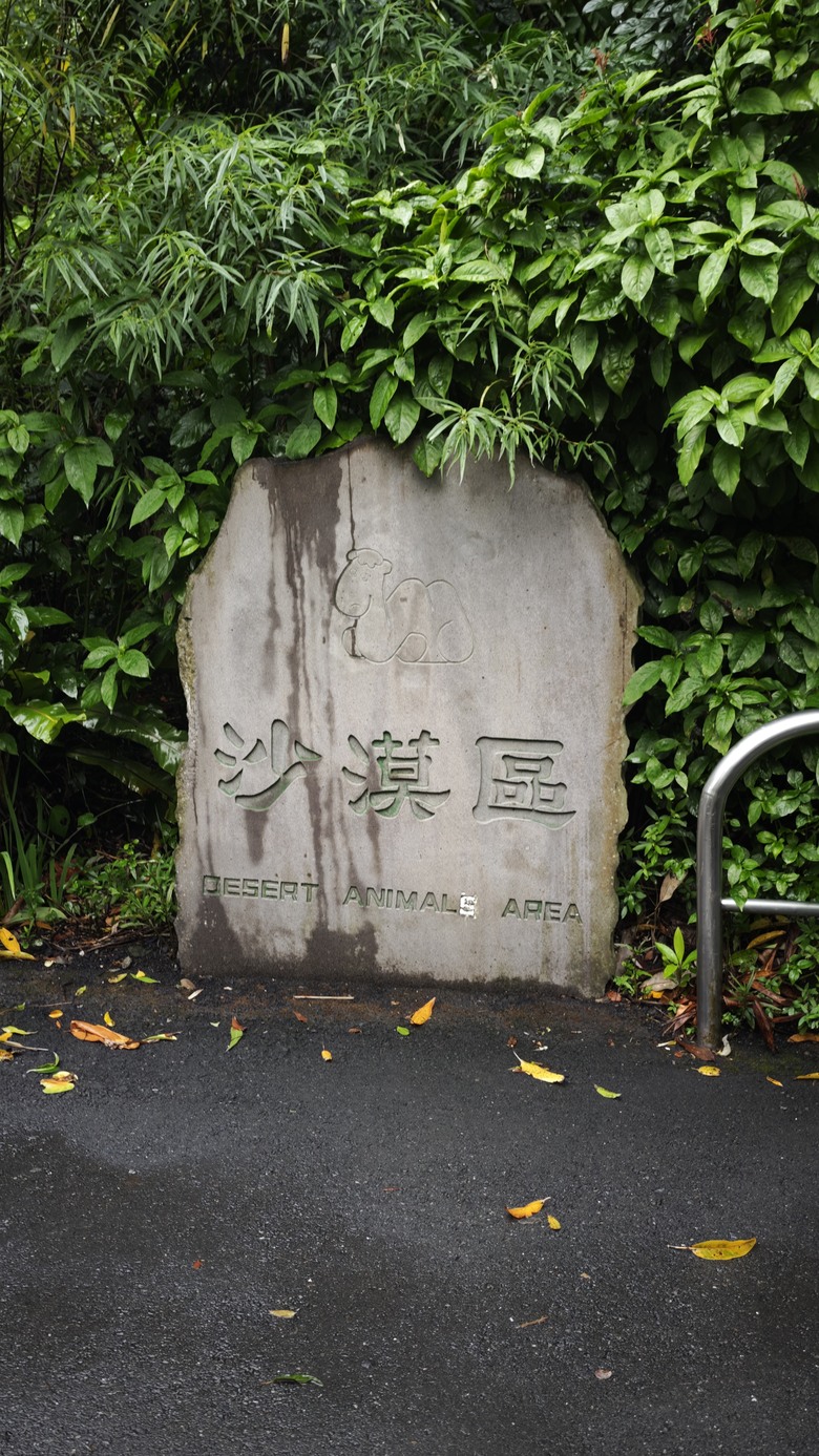 另類的父親節 - 台北市立動物園 "夜之動物園" 遊記分享~