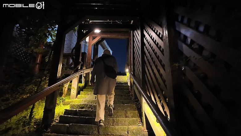 車泊阿里山看日出｜小火車、日出、巨木群一次打包！