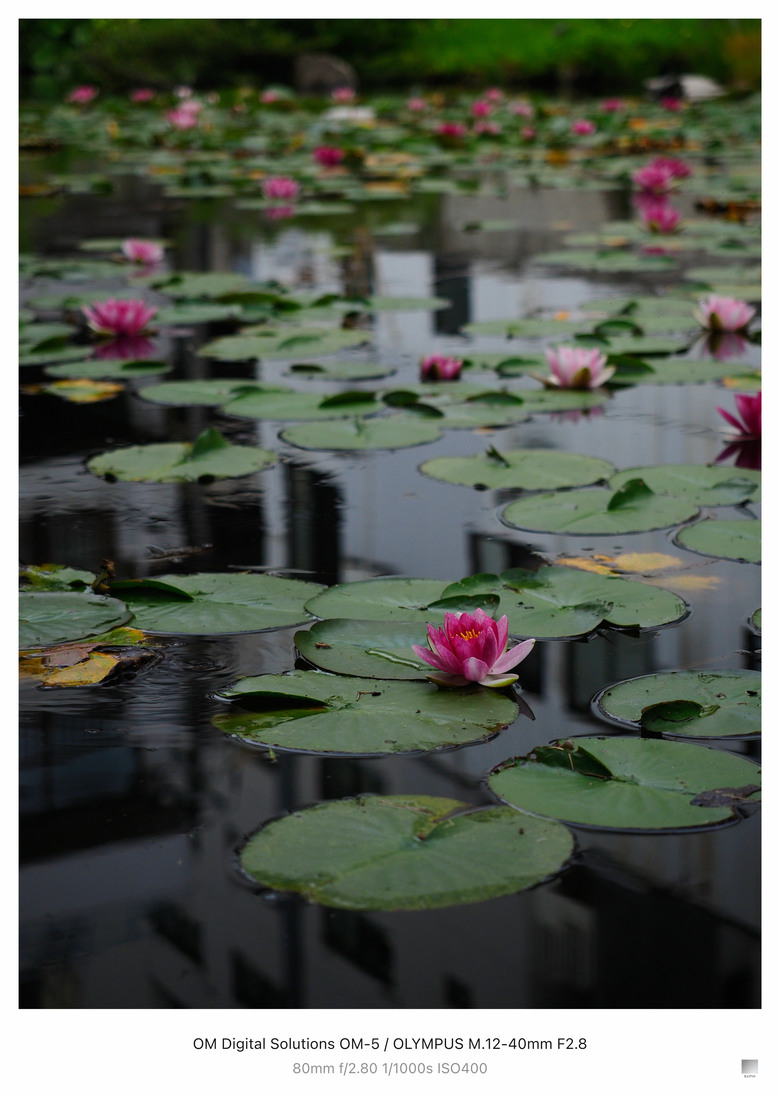 青森亂拍（OM-5 Olympus 12-40 F2.8為主）