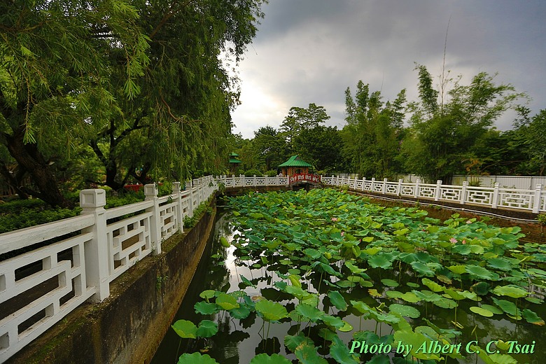 【攝影比賽突圍心法】Canon 5D3 / 6D / 7D2 單反經典重溫：從四幅得獎作品看逆向思維