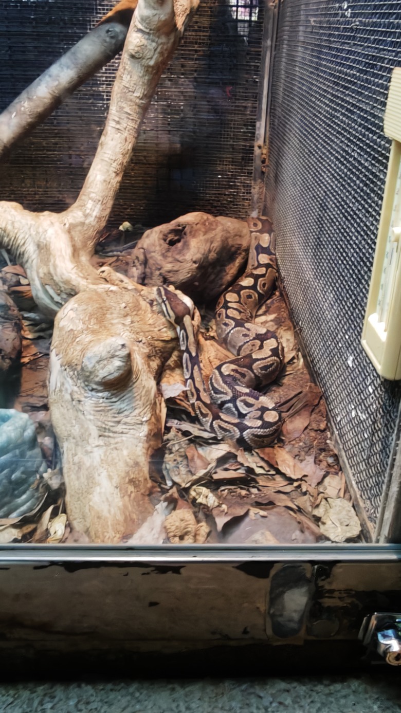 另類的父親節 - 台北市立動物園 "夜之動物園" 遊記分享~