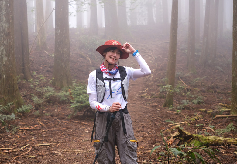 【高島縱走】走進六星級柳杉森林，一日高台山與島田三山