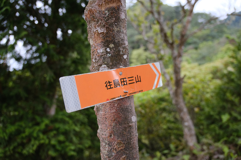 【高島縱走】走進六星級柳杉森林，一日高台山與島田三山