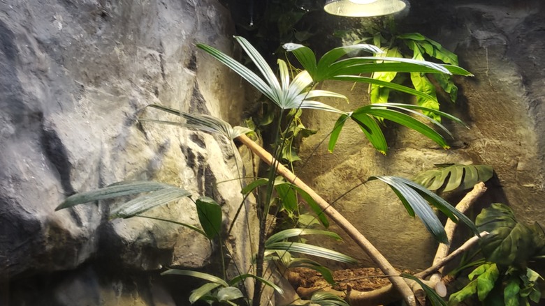 另類的父親節 - 台北市立動物園 "夜之動物園" 遊記分享~