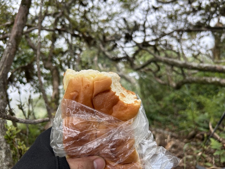 苗 栗 最 高 峰 加 里 山 ( 台 版 富 士 山 )