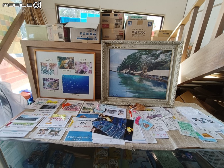 新潟@佐渡島親子旅遊|矢島盆舟,跟著千尋搭著盆舟進入宮崎駿動畫世界