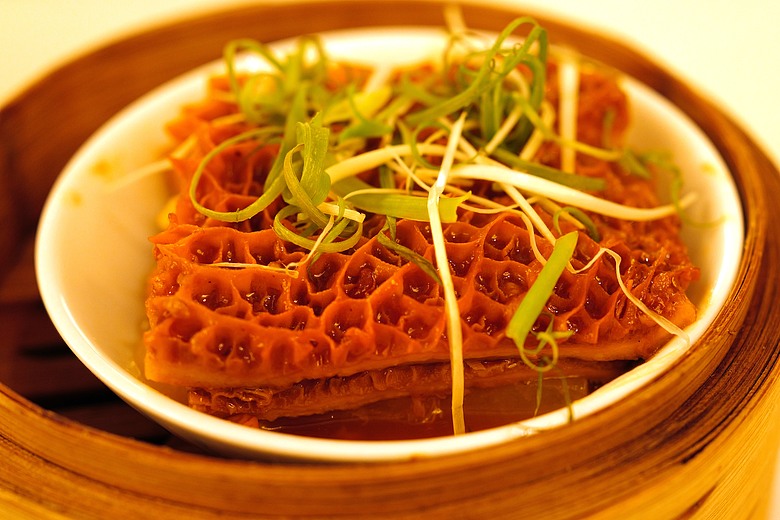 用鏡頭紀錄生活點點滴滴