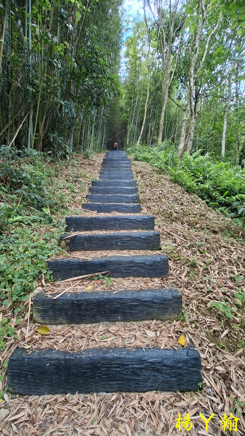 【郊山走走】走上山,近於水:登上戰略要地枕頭山,探尋依山傍水的薑母島
