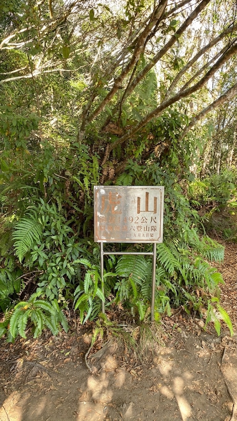 【苗栗】泰安虎山全程路況實測!傳說中的「水雲三星之首」到底有多虐?(附影片&注意事項)