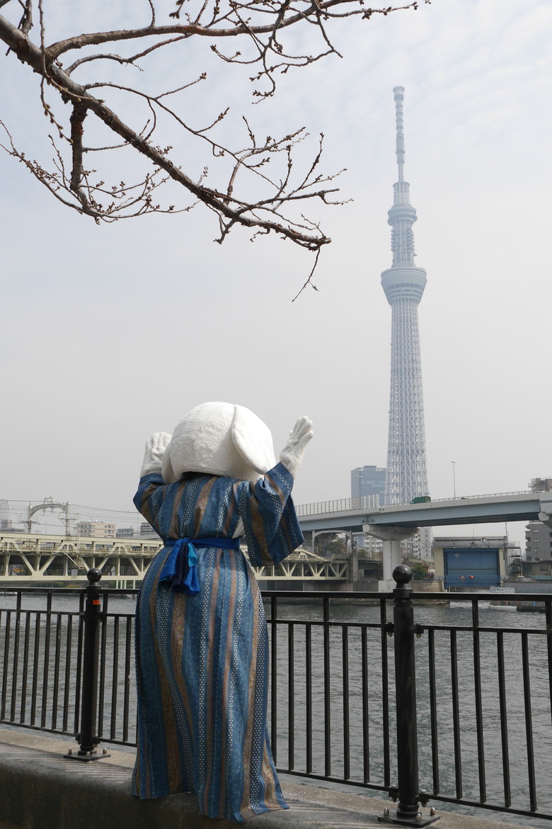 東京的旅遊紀錄 淺草 銀座 東京鐵塔 東京都廳