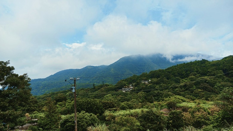 台北近郊秘境!走進陽明山竹子湖猴崁水圳步道,探索百年水圳與山林之美