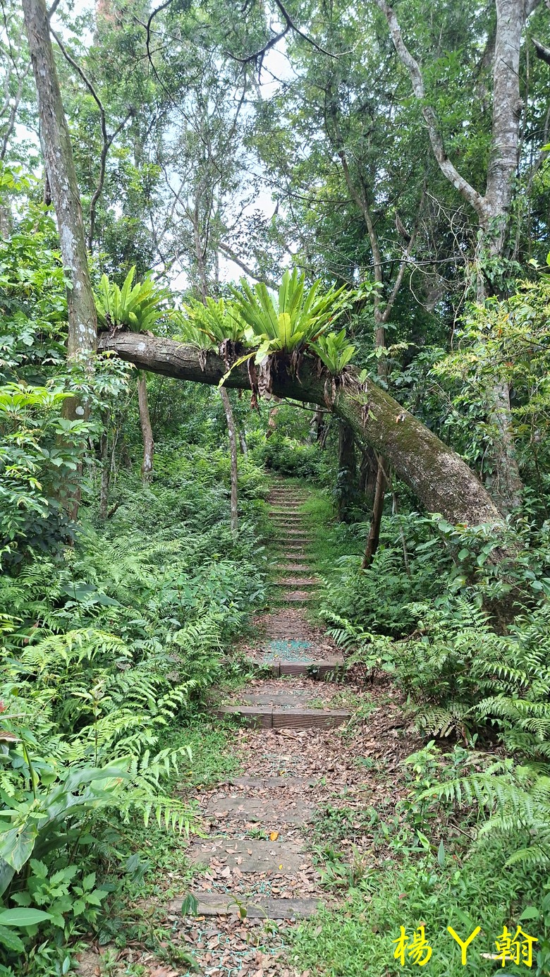 【郊山走走】走上山,近於水:登上戰略要地枕頭山,探尋依山傍水的薑母島