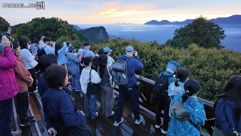 車泊阿里山看日出｜小火車、日出、巨木群一次打包！