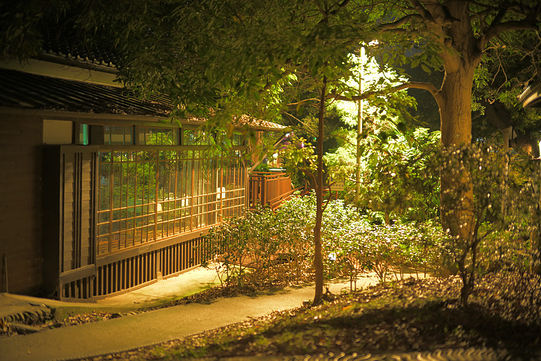 ZF+LAOWA Argus 45mm f/0.95 麗池-夜