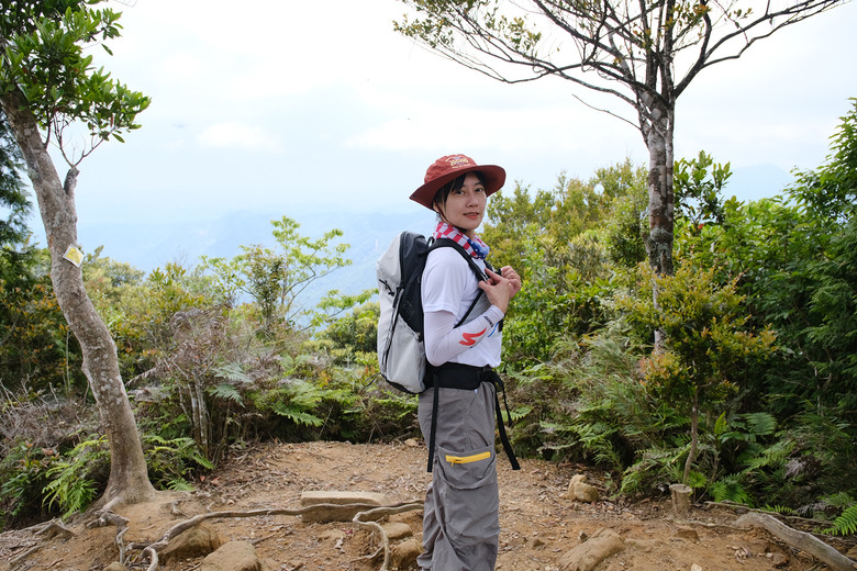 【高島縱走】走進六星級柳杉森林，一日高台山與島田三山