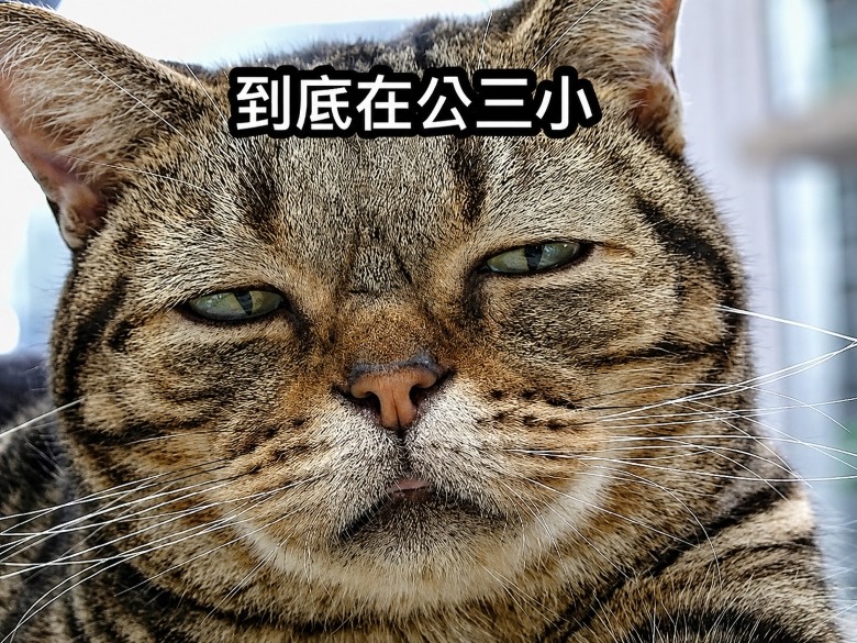 你覺得 手 排 / 打 檔 車 的 樂 趣 是什麼？