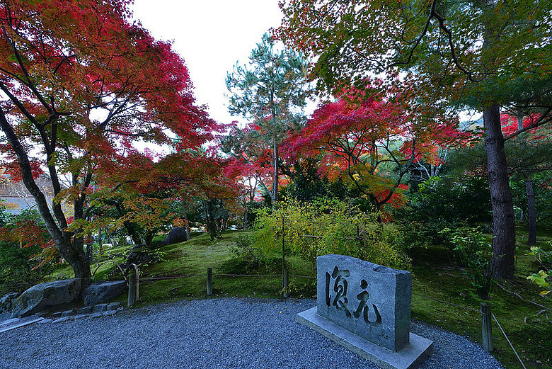2016 - 秋 - 一個人的旅行 日本關西地區
