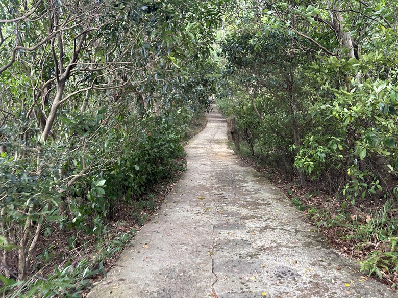 搭 捷 運 登 走 劍 潭 山 親 山 步 道
