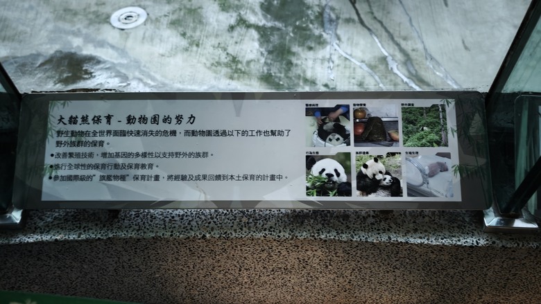 另類的父親節 - 台北市立動物園 "夜之動物園" 遊記分享~