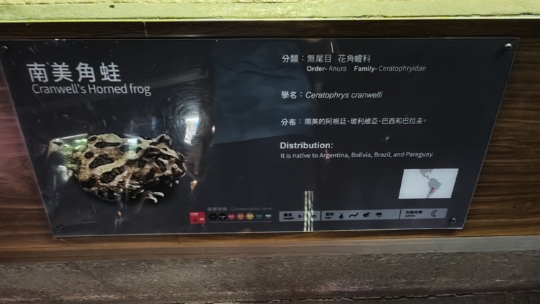 另類的父親節 - 台北市立動物園 "夜之動物園" 遊記分享~