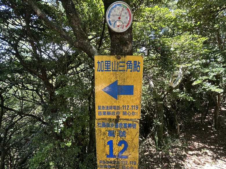 苗 栗 最 高 峰 加 里 山 ( 台 版 富 士 山 )