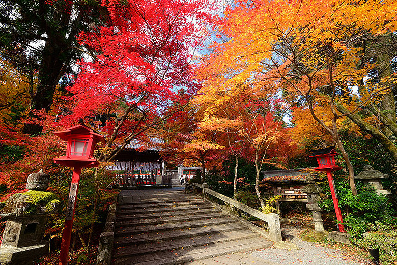 2016 - 秋 - 一個人的旅行 日本關西地區