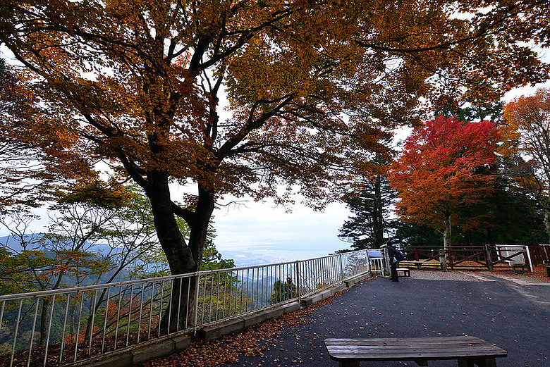 2016 - 秋 - 一個人的旅行 日本關西地區