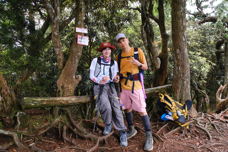【高島縱走】走進六星級柳杉森林，一日高台山與島田三山
