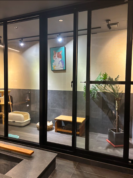 第一次帶狗狗住飯店！泰安觀止寵物入住心得分享