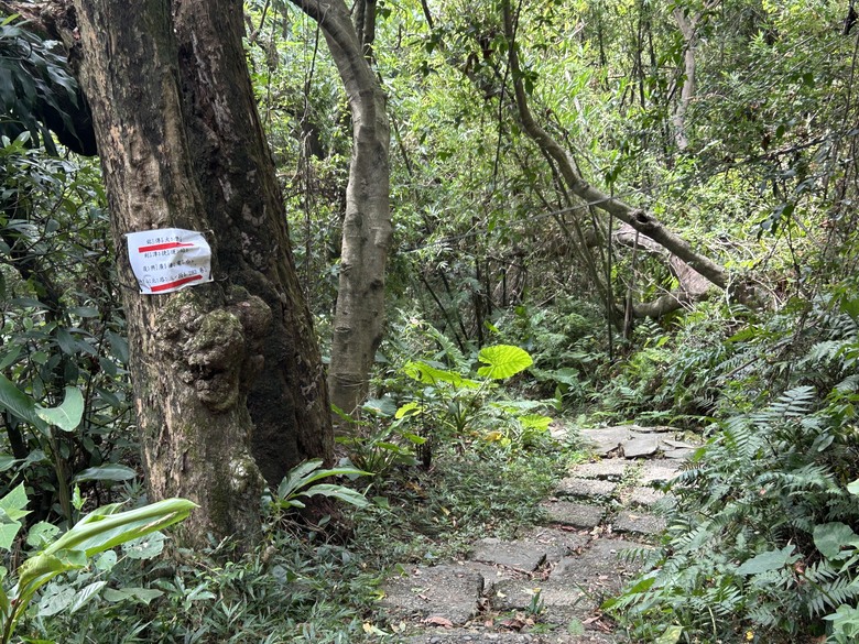 搭 捷 運 登 走 劍 潭 山 親 山 步 道