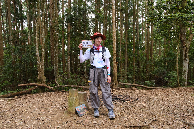 【高島縱走】走進六星級柳杉森林，一日高台山與島田三山