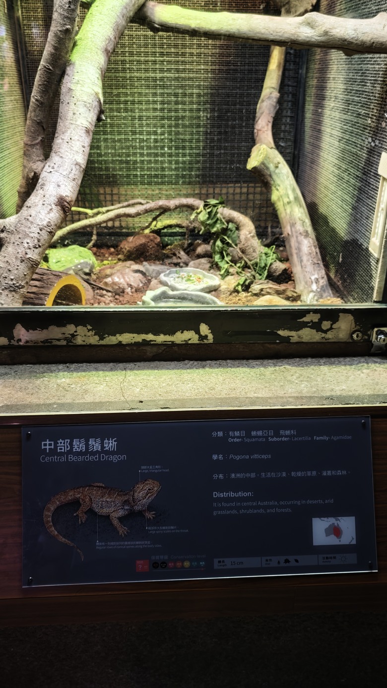 另類的父親節 - 台北市立動物園 "夜之動物園" 遊記分享~