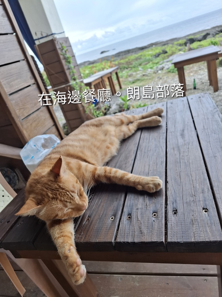 蘭嶼。6天5夜