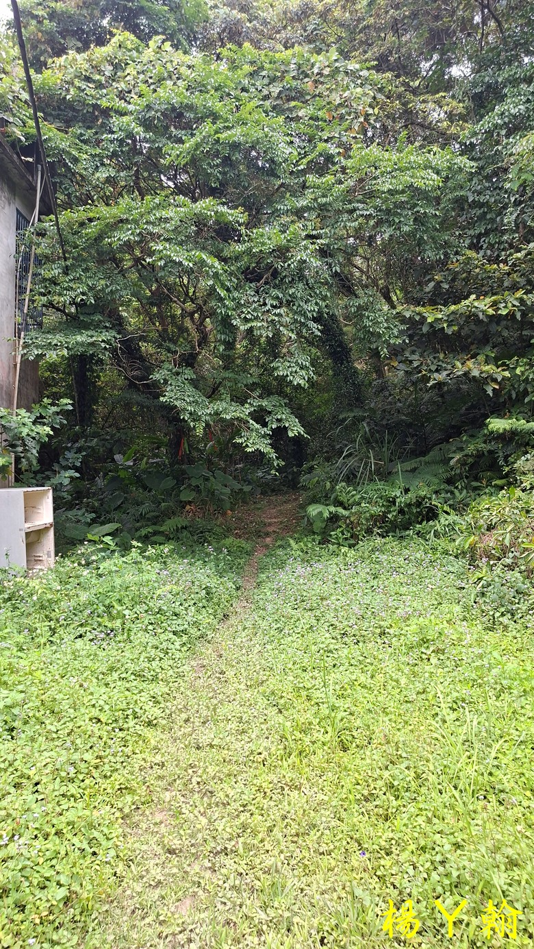 【郊山走走】走上山,近於水:登上戰略要地枕頭山,探尋依山傍水的薑母島