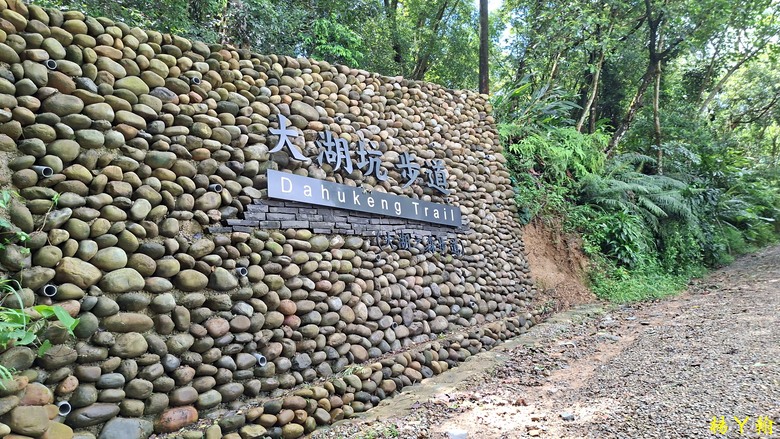 【微笑山線】全新登山步道，大湖之森自然步道，輕鬆健行享受森林浴