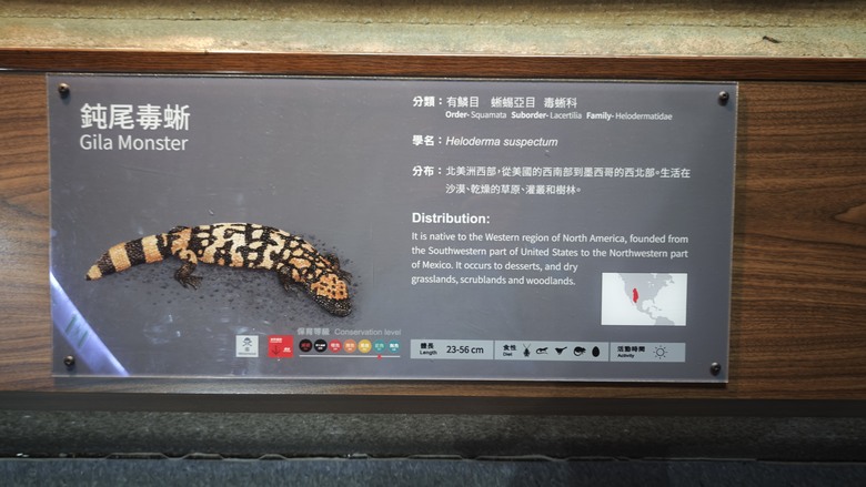 另類的父親節 - 台北市立動物園 "夜之動物園" 遊記分享~