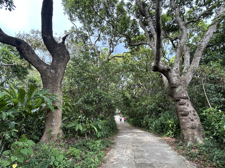 搭 捷 運 登 走 劍 潭 山 親 山 步 道