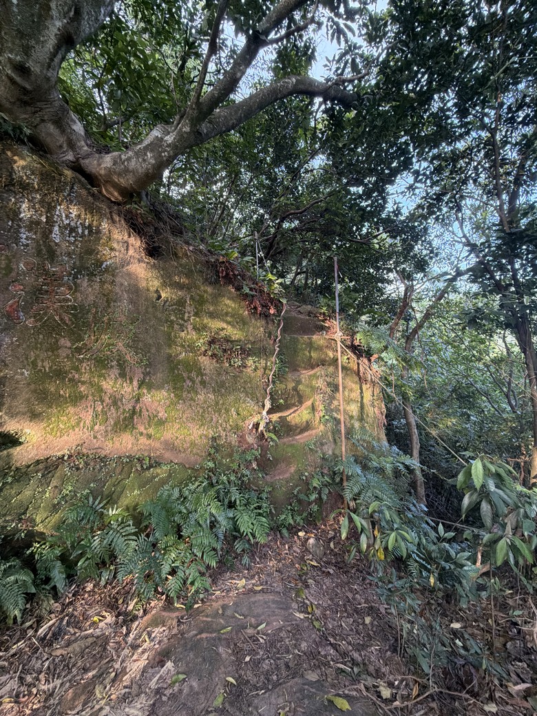 象山步道的隱藏版一線天