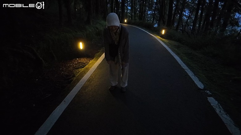 車泊阿里山看日出｜小火車、日出、巨木群一次打包！
