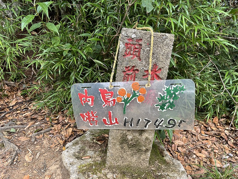 【北得拉曼尋神木】霧裡走進四大天王｜12公里森林健行＋內灣剉冰的夏日小旅行
