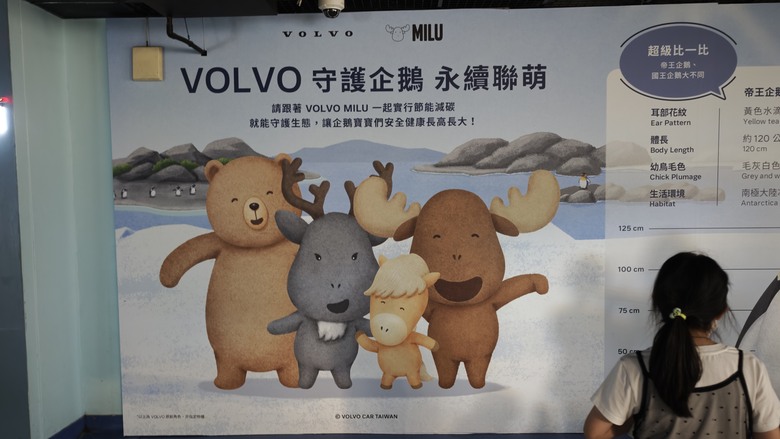 另類的父親節 - 台北市立動物園 "夜之動物園" 遊記分享~