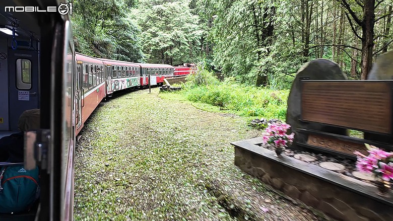 車泊阿里山看日出｜小火車、日出、巨木群一次打包！