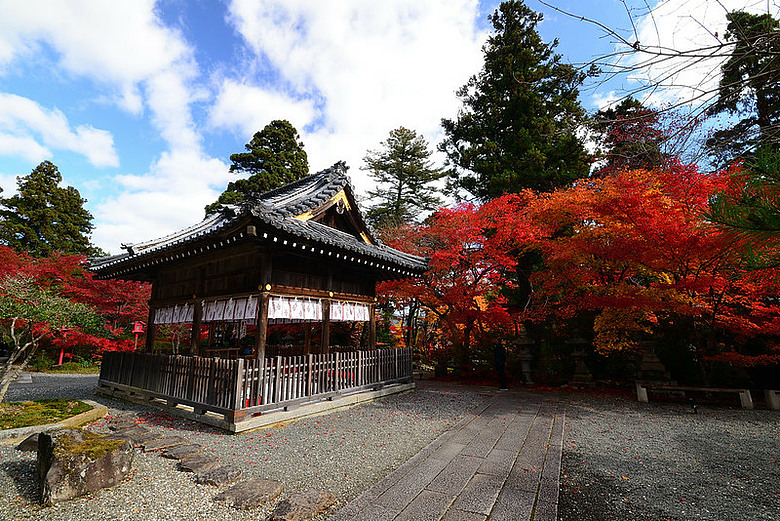 2016 - 秋 - 一個人的旅行 日本關西地區