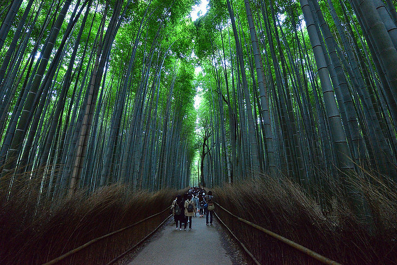 2016 - 秋 - 一個人的旅行 日本關西地區