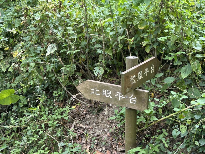 搭 捷 運 登 走 劍 潭 山 親 山 步 道