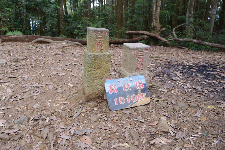 【高島縱走】走進六星級柳杉森林，一日高台山與島田三山
