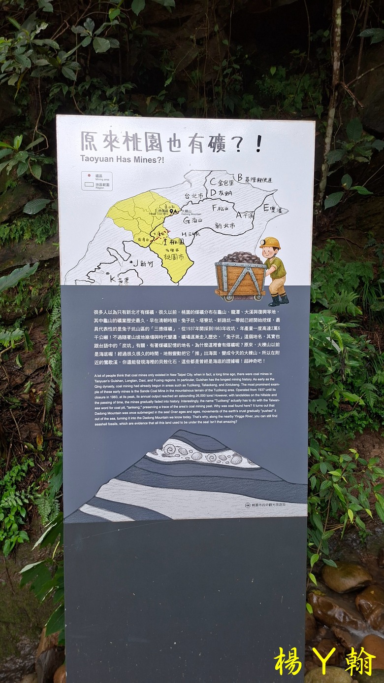 【微笑山線】全新登山步道，大湖之森自然步道，輕鬆健行享受森林浴