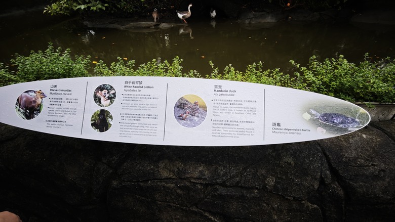 另類的父親節 - 台北市立動物園 "夜之動物園" 遊記分享~