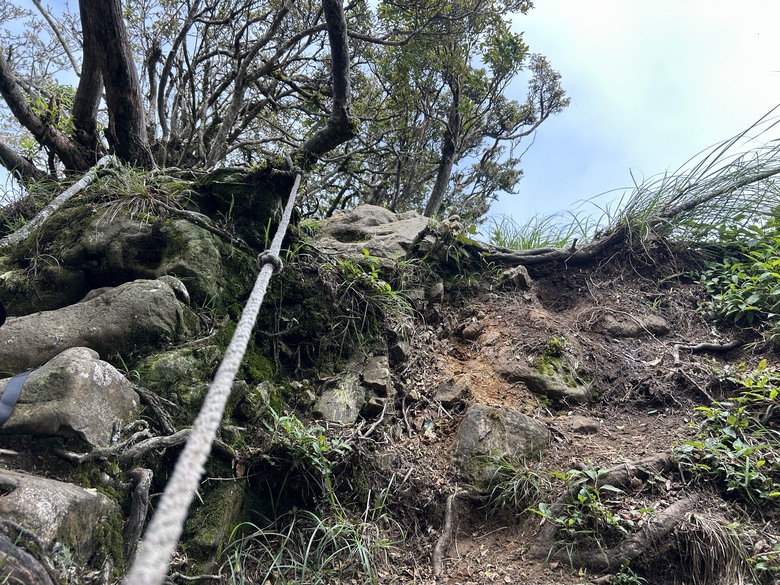 苗 栗 最 高 峰 加 里 山 ( 台 版 富 士 山 )